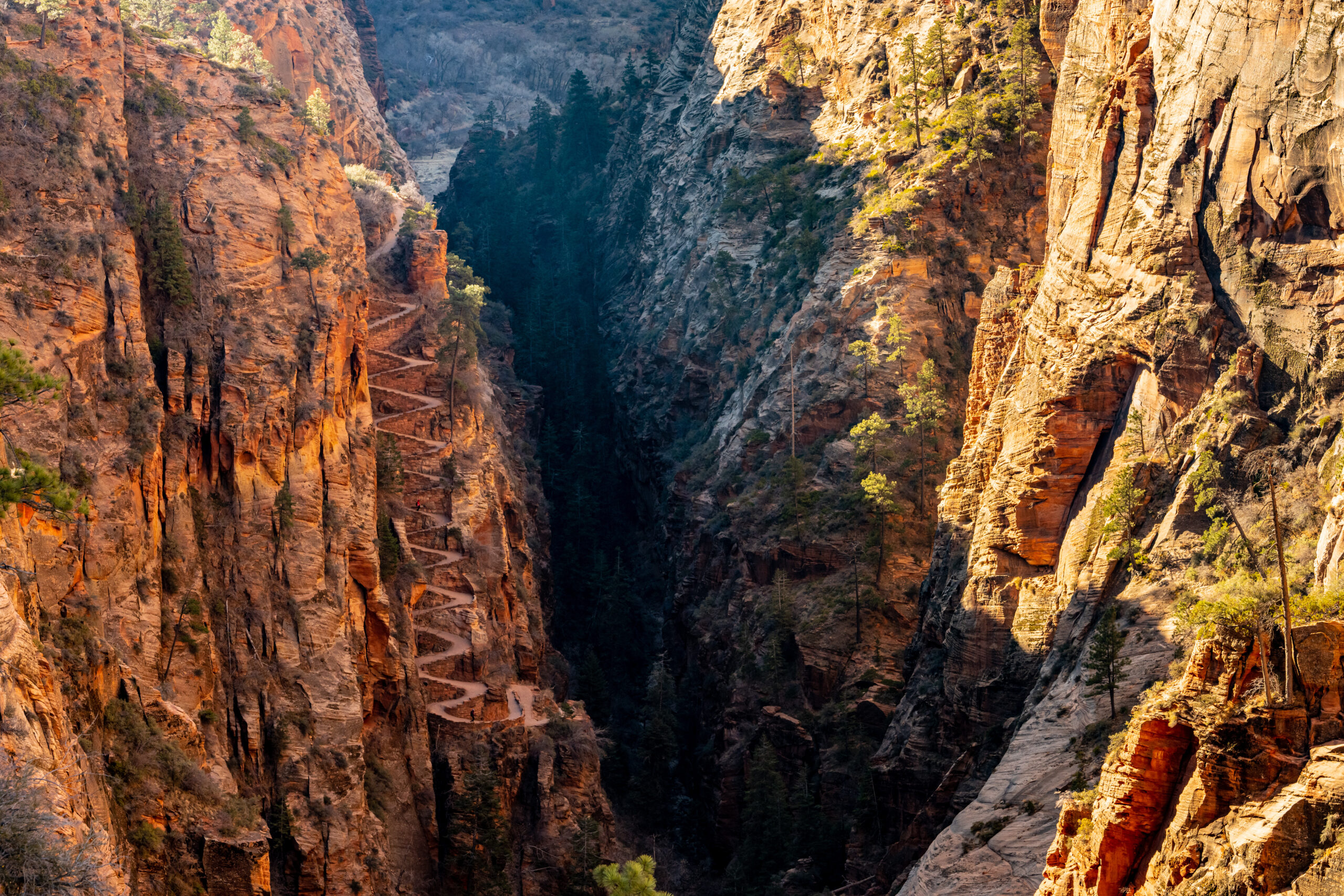 1000 F 438537291 jtMlg0iLKn6gLSfCx3zXlrY78TBkxJkW