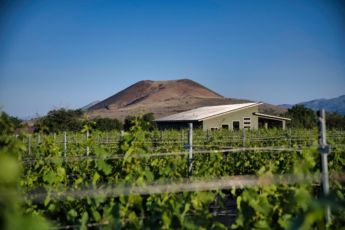 bold and delaney winery mo atikin 014