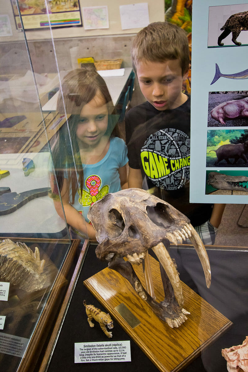 Children gazing through display at fossilized skull.