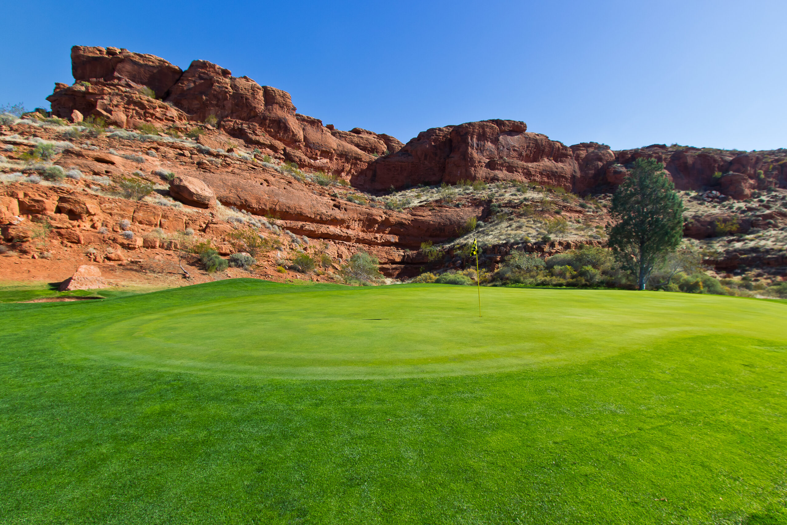 dixie red hills golf course 009