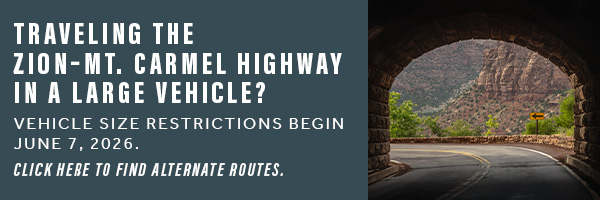 GZ ZionBanners Tunnel