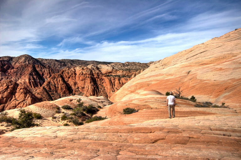 hidden gem yant flat