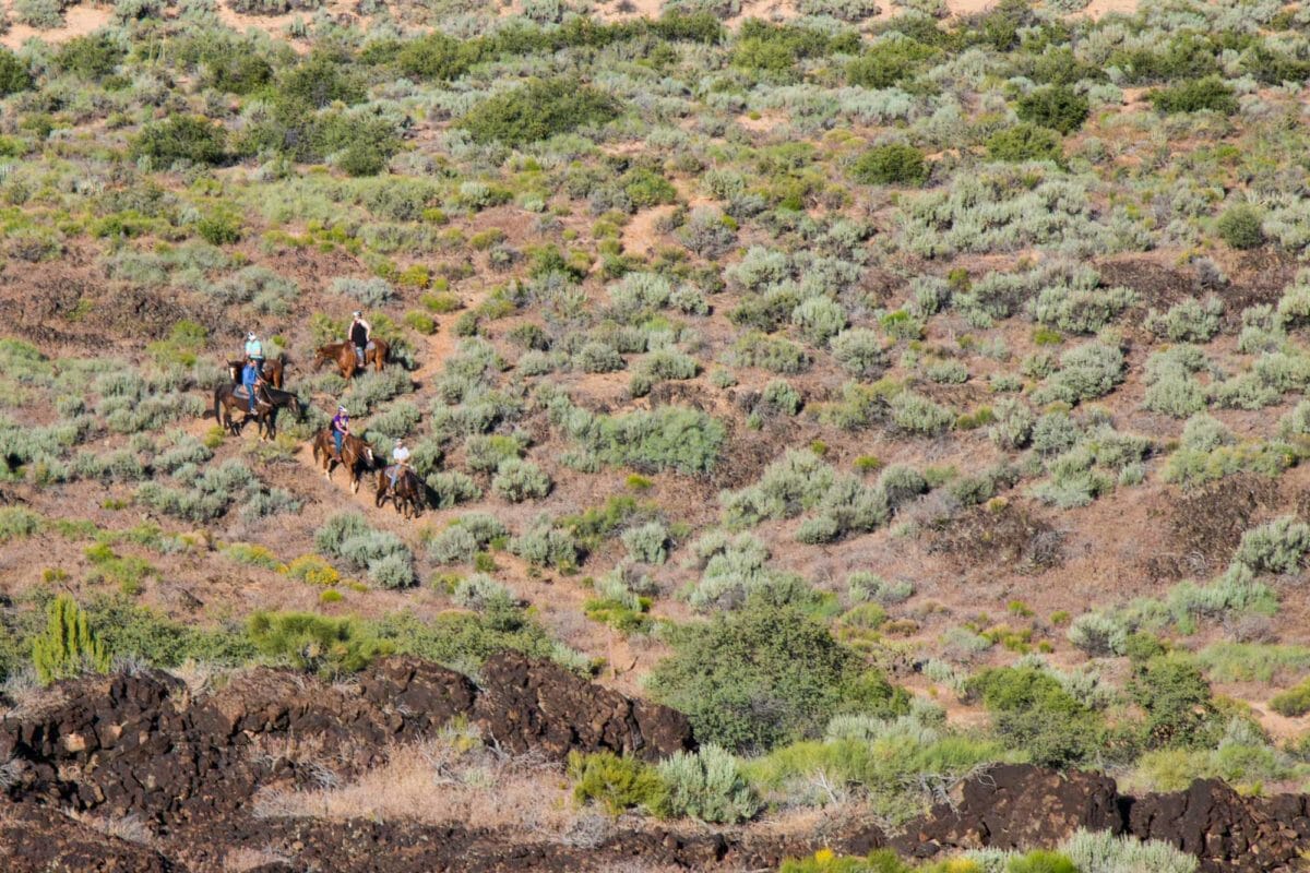 Horseback riders on switchback.