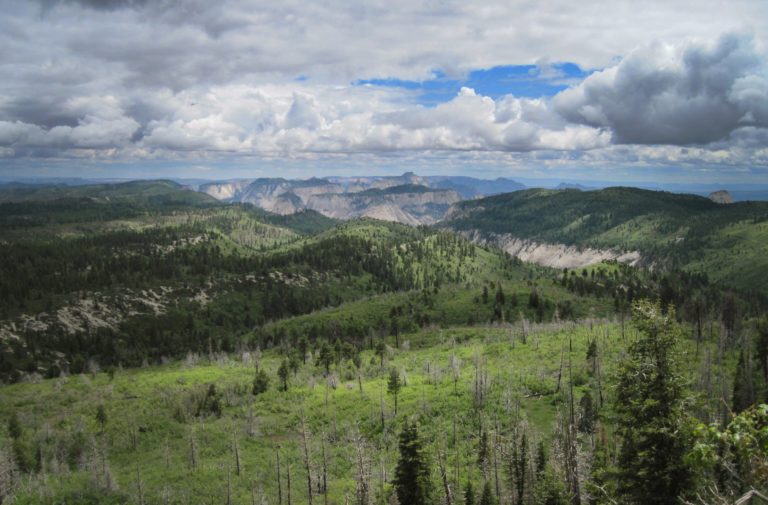 Lava Point Campground 