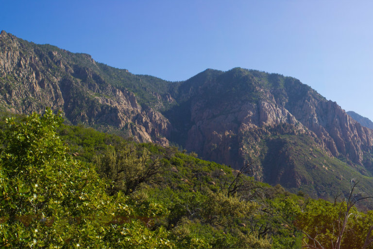 Green, tree-covered mountain under a blue sky