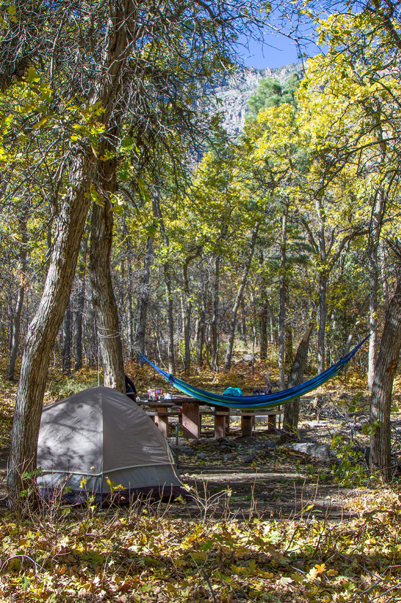 Campsite with tent, hammock, and table surrounded by trees