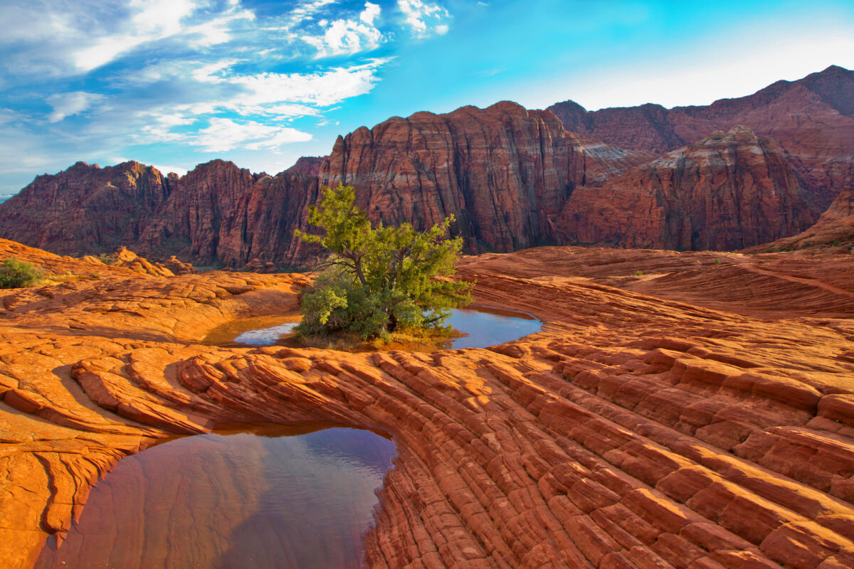 PetrifiedPools