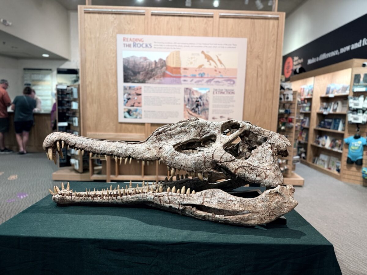 phytosaur