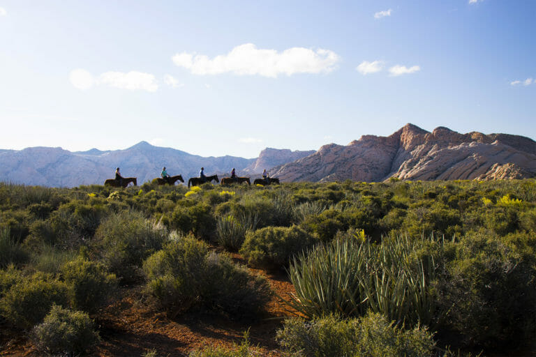 snow canyon trail rides