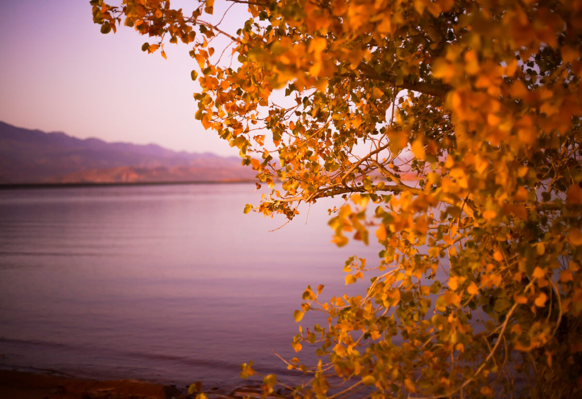Sunsest at Sandhollow Lake