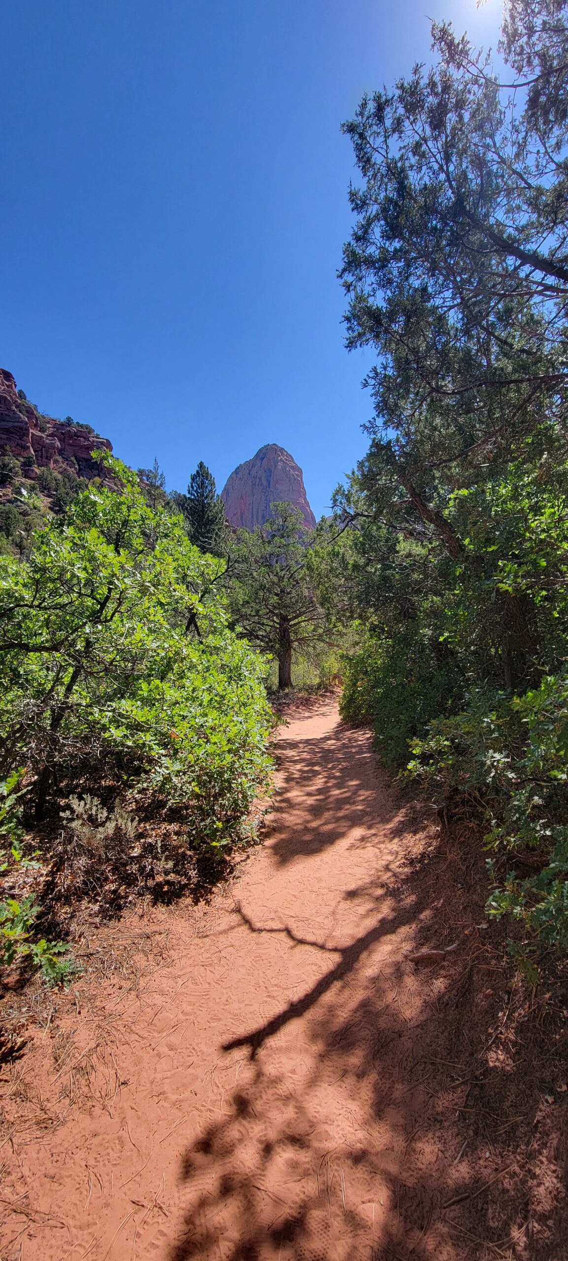 taylor creek trail kolob canyon