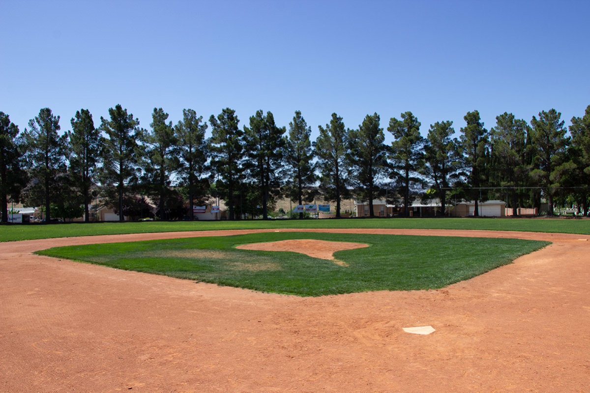 Tree-lined baseball field