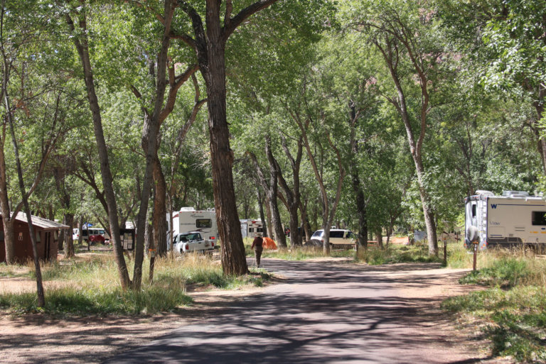 Campground with RVs and pine trees