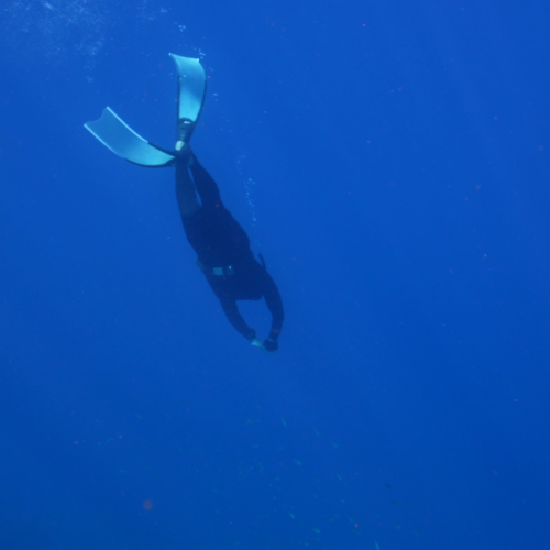 vlcsnap 2026 01 12 11h14m17s684